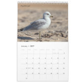 Calendrier Oiseaux d'Amérique (Jan 2027)