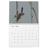Calendrier - Oiseaux d'Amérique du Nord (Mar 2026)
