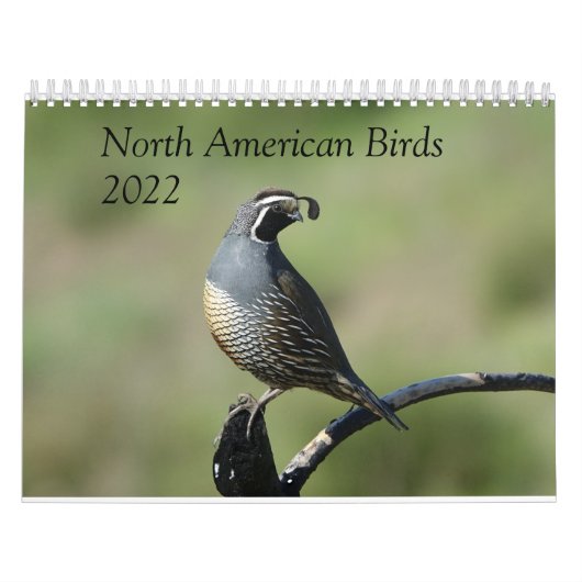 Calendrier - Oiseaux d'Amérique du Nord (Protection)