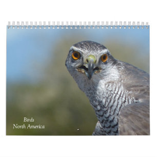 Calendrier - Oiseaux d'Amérique du Nord