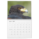 Calendrier - Oiseaux d'Amérique du Nord (Mar 2027)