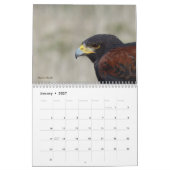 Calendrier - Oiseaux d'Amérique du Nord (Jan 2027)