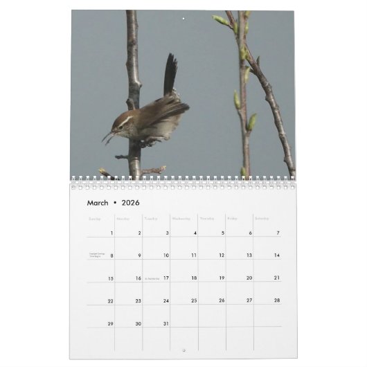 Calendrier - Oiseaux d'Amérique du Nord (Mar 2026)