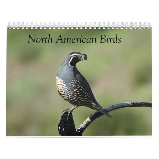 Calendrier - Oiseaux d'Amérique du Nord (Protection)