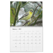 Calendrier Oiseaux d'Amérique du Nord (Feb 2027)