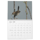 Calendrier - Oiseaux d'Amérique du Nord (Mar 2027)
