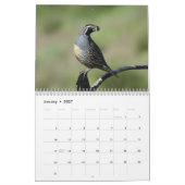 Calendrier - Oiseaux d'Amérique du Nord (Jan 2027)