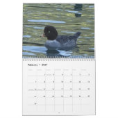 Calendrier - Oiseaux d'Amérique du Nord (Feb 2027)