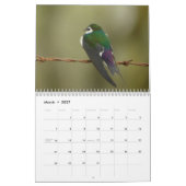 Calendrier Oiseaux d'Amérique du Nord 2011 (Mar 2027)