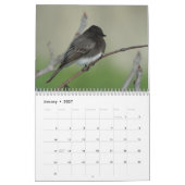 Calendrier Oiseaux d'Amérique du Nord 2011 (Jan 2027)