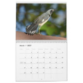 Calendrier Oiseaux dans la vallée de l'Hudson (Mar 2027)