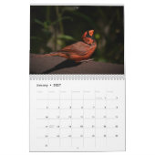 Calendrier Oiseaux dans la vallée de l'Hudson (Jan 2027)