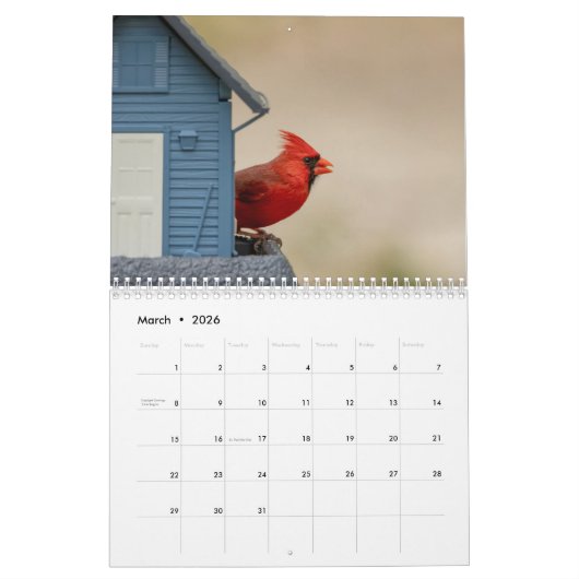 Calendrier Oiseaux dans les Adirondacks 2026 (Mar 2026)