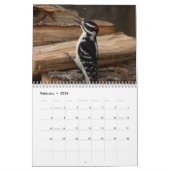 Calendrier Oiseaux dans les Adirondacks 2026 (Feb 2026)