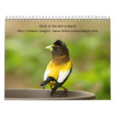 Calendrier Oiseaux dans les Adirondacks 2026 (Protection)