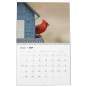 Calendrier Oiseaux dans les Adirondacks 2026 (Mar 2027)