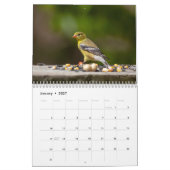 Calendrier Oiseaux dans les Adirondacks 2026 (Jan 2027)