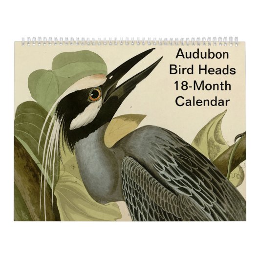 Calendrier Oiseaux d'Audubon 18 mois (Protection)
