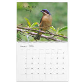Calendrier Oiseaux de Colombie (Jan 2026)