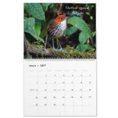 Calendrier Oiseaux de Colombie (Mar 2027)