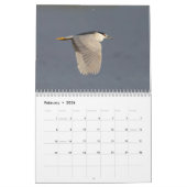 Calendrier Oiseaux de Floride 2026 (Feb 2026)