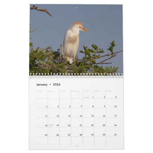 Calendrier Oiseaux de Floride 2026 (Jan 2026)