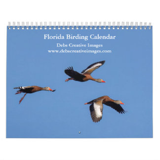 Calendrier Oiseaux de Floride 2026