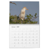 Calendrier Oiseaux de Floride 2026 (Jan 2027)