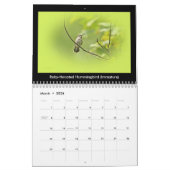 Calendrier Oiseaux de Jardin favoris #3 (Mar 2026)