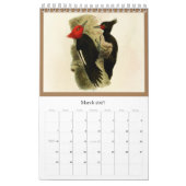 Calendrier Oiseaux de la Terre de Feu (Mar 2027)