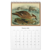 Calendrier Oiseaux de la Terre de Feu (Jan 2026)