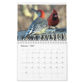 Calendrier Oiseaux de la vallée de l'Hudson (Feb 2027)