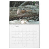 Calendrier Oiseaux de l'Ohio en mai (Mar 2027)
