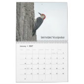 Calendrier Oiseaux de l'Ohio en mai (Jan 2027)