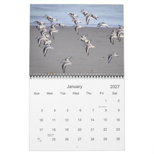 Calendrier Oiseaux de Mendocino (Jan 2027)