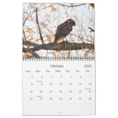 Calendrier Oiseaux de Mendocino (Feb 2026)