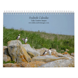 Calendrier Oiseaux de mer à Machias Seal Island 2026