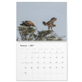 Calendrier Oiseaux de Namibie et du Botswana (Feb 2027)