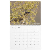 Calendrier Oiseaux de Namibie et du Botswana (Jan 2026)