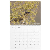 Calendrier Oiseaux de Namibie et du Botswana (Jan 2027)