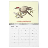 Calendrier Oiseaux de New York Lithographies (Mar 2027)