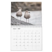 Calendrier Oiseaux de Norvège 2026 (Mar 2027)