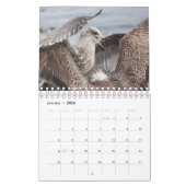 Calendrier Oiseaux de Norvège 2026 (Jan 2026)