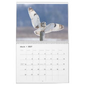 Calendrier Oiseaux de Prey (Mar 2027)