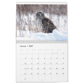 Calendrier Oiseaux de Prey (Jan 2027)