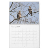 Calendrier Oiseaux de Prey (Feb 2027)