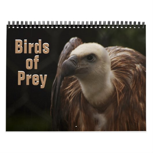 Calendrier Oiseaux de Prey 2022 (Protection)