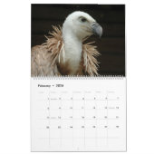 Calendrier Oiseaux De Prey 2024 (Feb 2026)