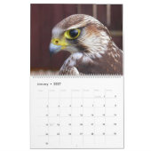 Calendrier Oiseaux De Prey 2024 (Jan 2027)