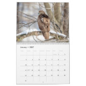 Calendrier Oiseaux de Prey 2026 (Jan 2027)